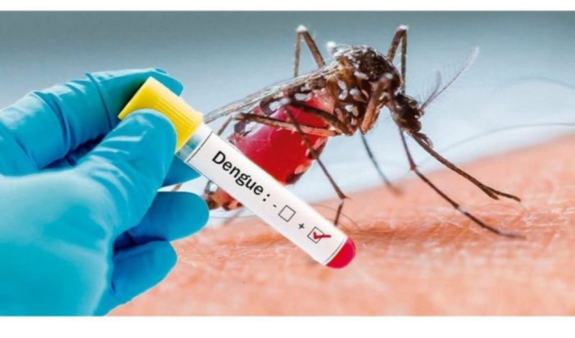 Brasil registra alta de 71% dos casos de dengue em 2020 | Newslab