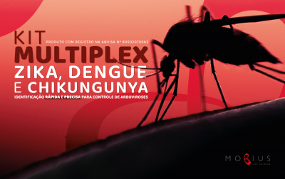 As mais conhecidas, denominadas de arboviroses, são a Dengue, Zika e Chikungunya
