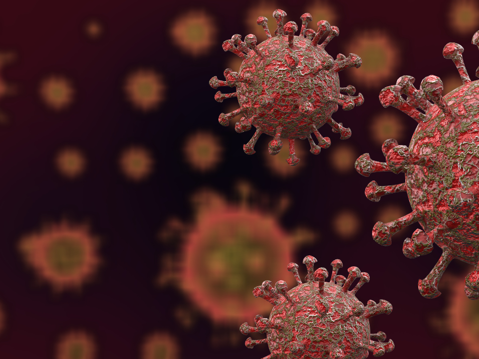 Covid: pesquisa da USP desvenda inflamações mesmo após saída do vírus