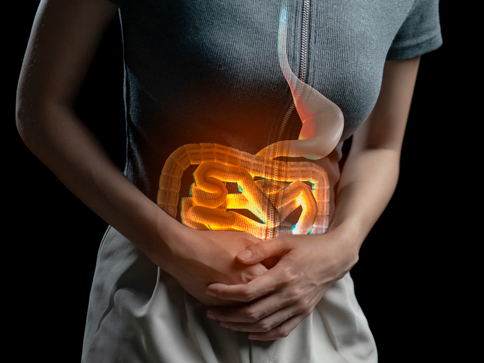 Intoxicação alimentar: o que é, sintomas e possíveis tratamentos | Newslab