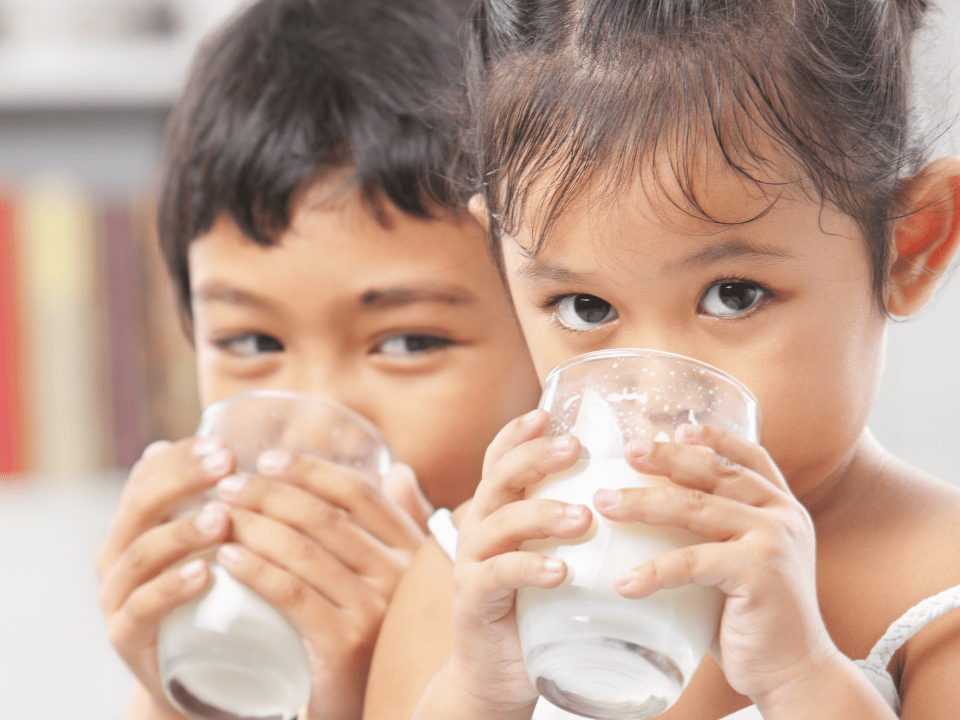 Crianças acima de 1 ano: fórmula infantil ou composto lácteo?