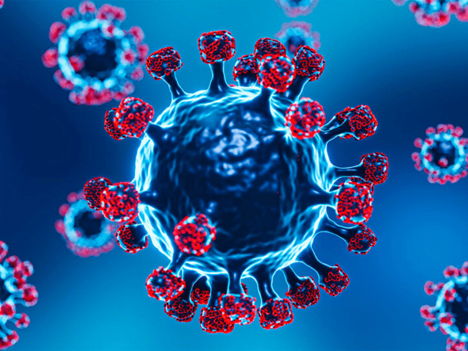 Feito com materiais reciclados, biossensor portátil faz detecção rápida do vírus da covid-19