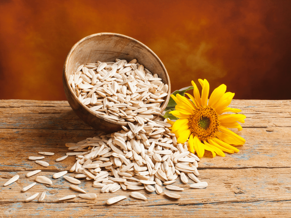 Reaproveitamento da farinha de sementes de girassol viabiliza pão mais proteico e rico em antioxidantes