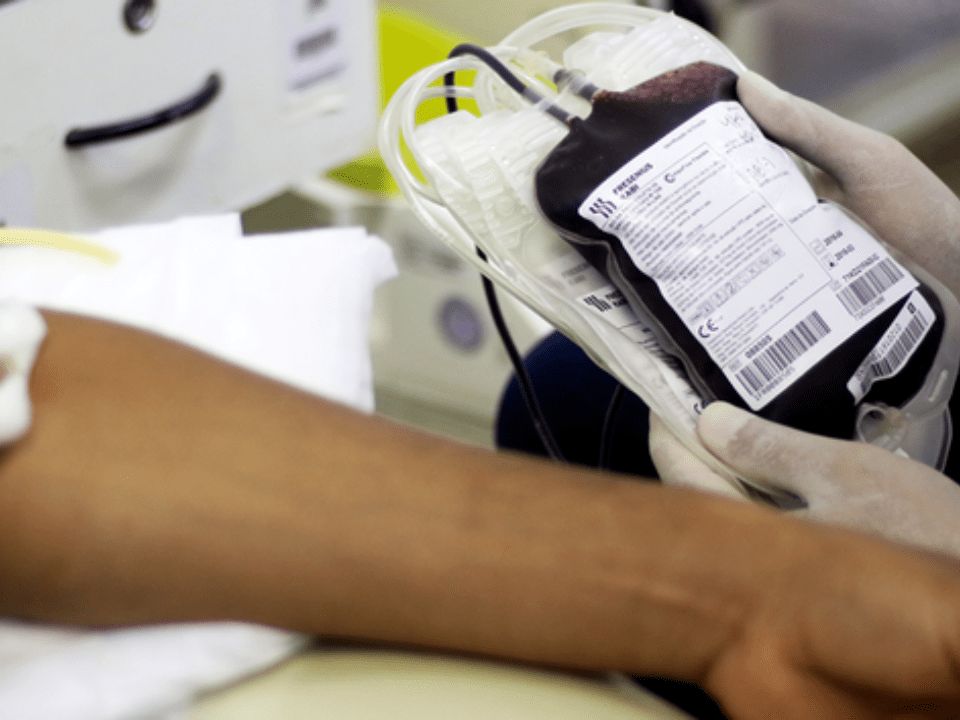 Ministério da Saúde lança campanha para incentivar doação regular de sangue