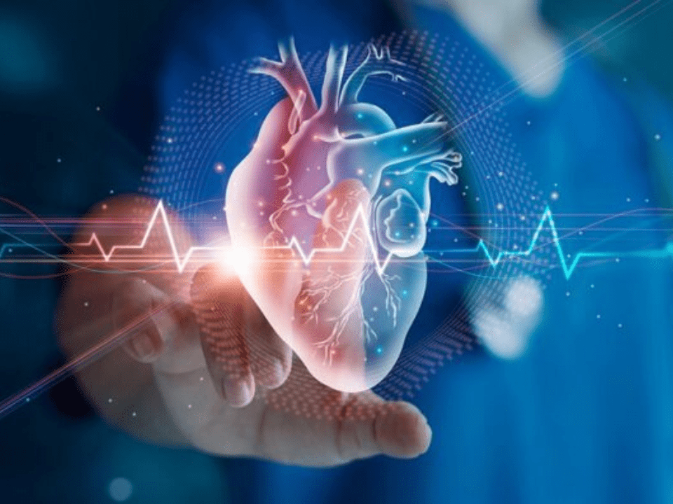 Proposta aprovada cria protocolos de urgências cardiovasculares no SUS