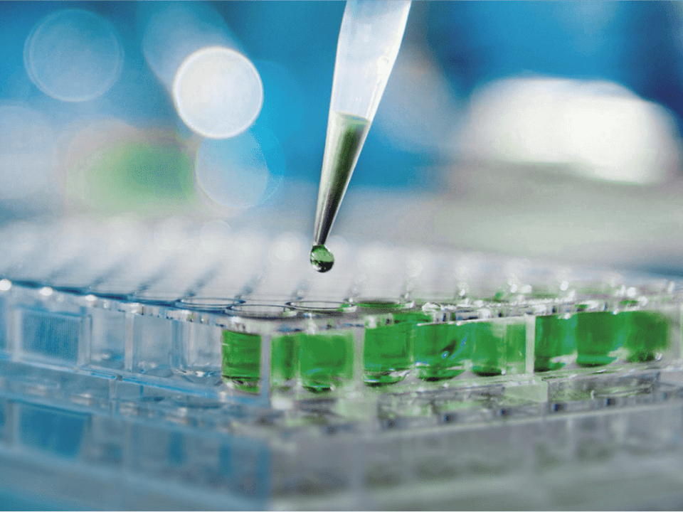 AmoyDx - Referência em diagnósticos oncológicos de precisão