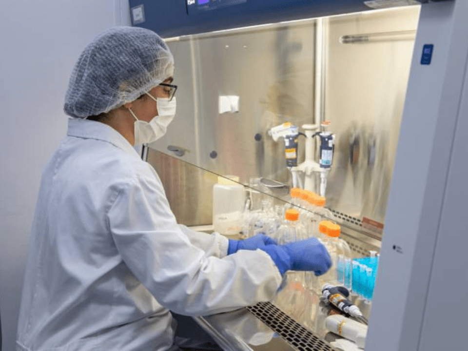 Butantan recebe aprovação da Anvisa para início de testes clínicos de vacina desenvolvida pelo Instituto contra gripe aviária