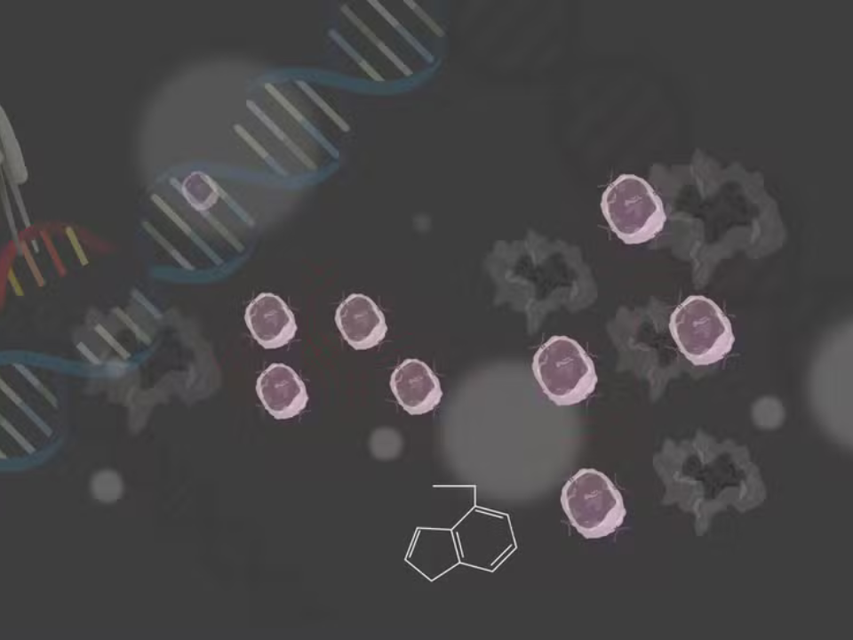 Cientistas criam célula CAR-T 'turbinada' com nanogel para superar barreira de tumores cancerígenos sólidos