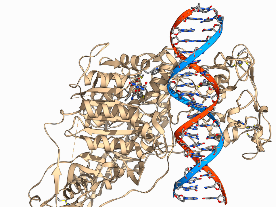Epigenética na Biologia Evolutiva: Perspectivas sobre Escalas de Tempo e Mecanismos