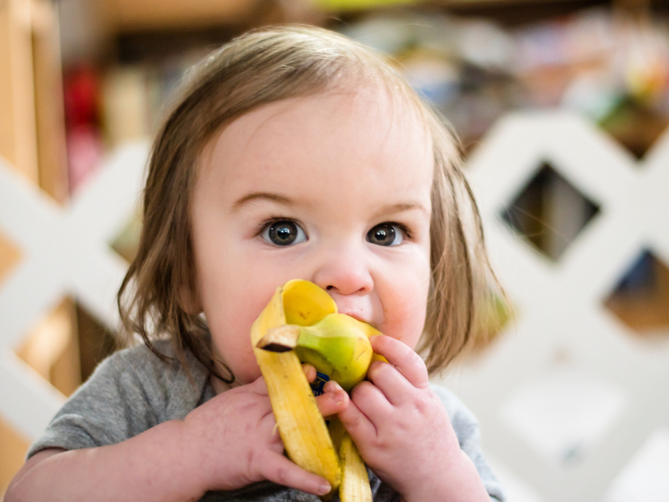 Explorando o mundo com os sentidos: O impacto da nutrição no desenvolvimento infantil
