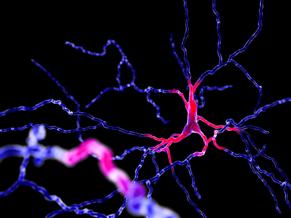 A Relevância do Polimorfismo Taq1A do Gene DRD2 na Arquitetura Genética Populacional e Implicações Clínicas