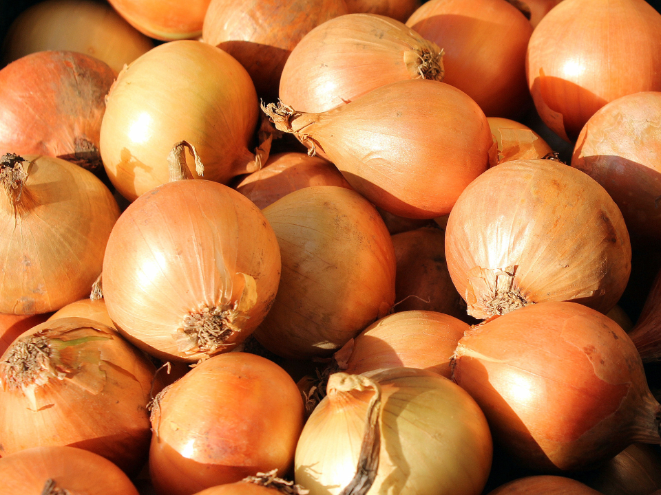 Saiba qual substância presente na cebola pode ajudar na saúde do coração