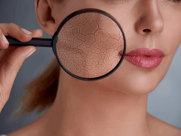 Rejuvenescimento Celular Parcial por Reprogramação Transitória na Fase de Maturação: Uma Alternativa Promissora ao Reprogramar Sem Perder a Identidade Celular