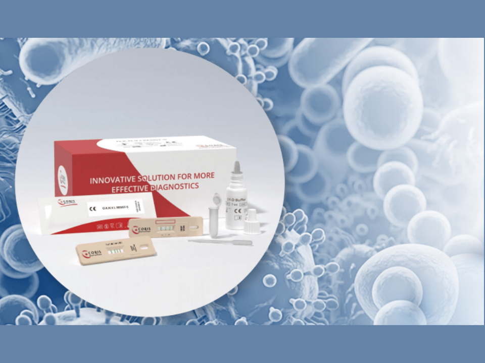 R.E.S.I.S.T Line: a escolha confiável para a detecção rápida de carbapenemases