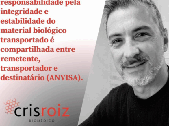 Transporte próprio ou terceirizado? Desafios e responsabilidades no setor