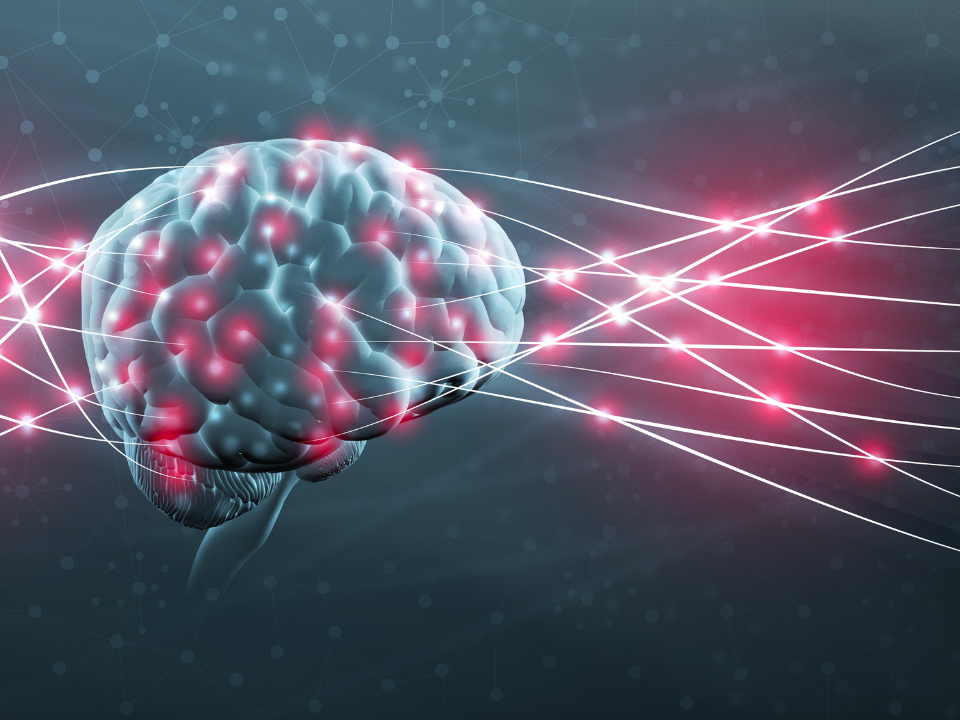 A Realidade do Autismo