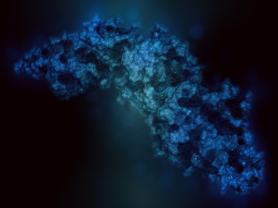 Nova estratégia terapêutica é testada para controle de condições como a sepse