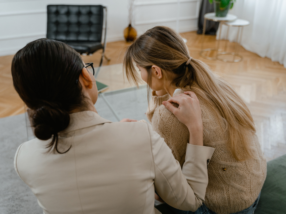 Desregulação Emocional TDAH Adultos