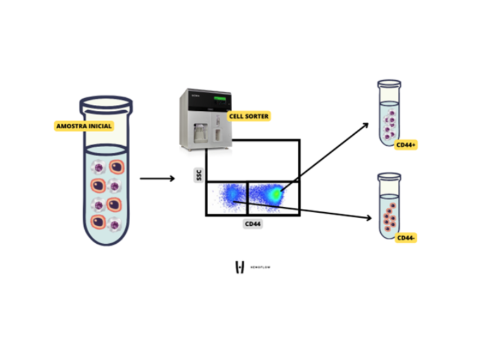 o que é Cell Sorting