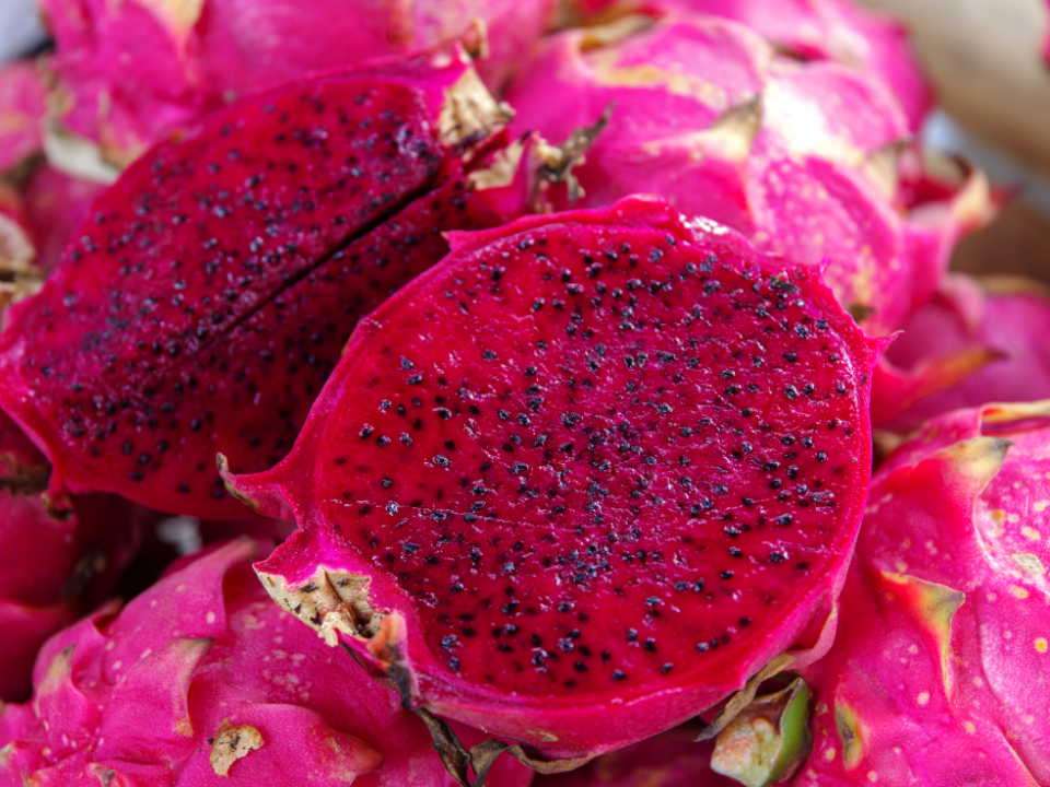 Pitaya fermentada com probióticos ativa gene que previne inflamações no intestino