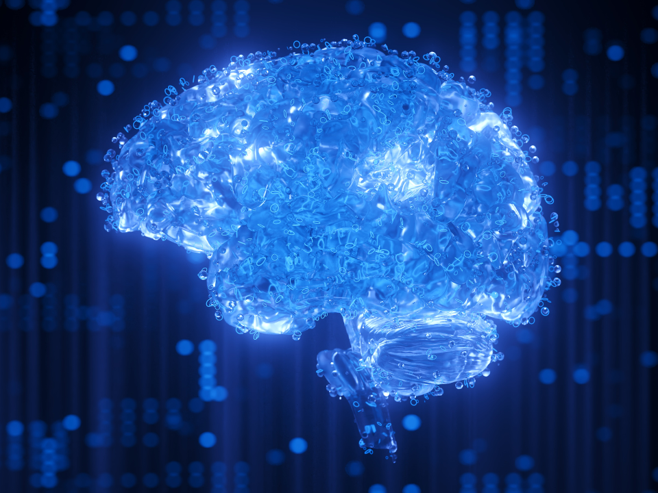 TDAH Circuitos Neurais Atenção Avanços Clínicos