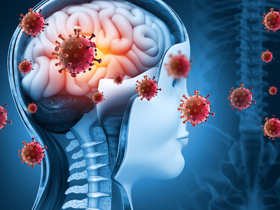 Ilustração da meningite com foco em cérebro inflamado, destacando importância do diagnóstico e vacinação.