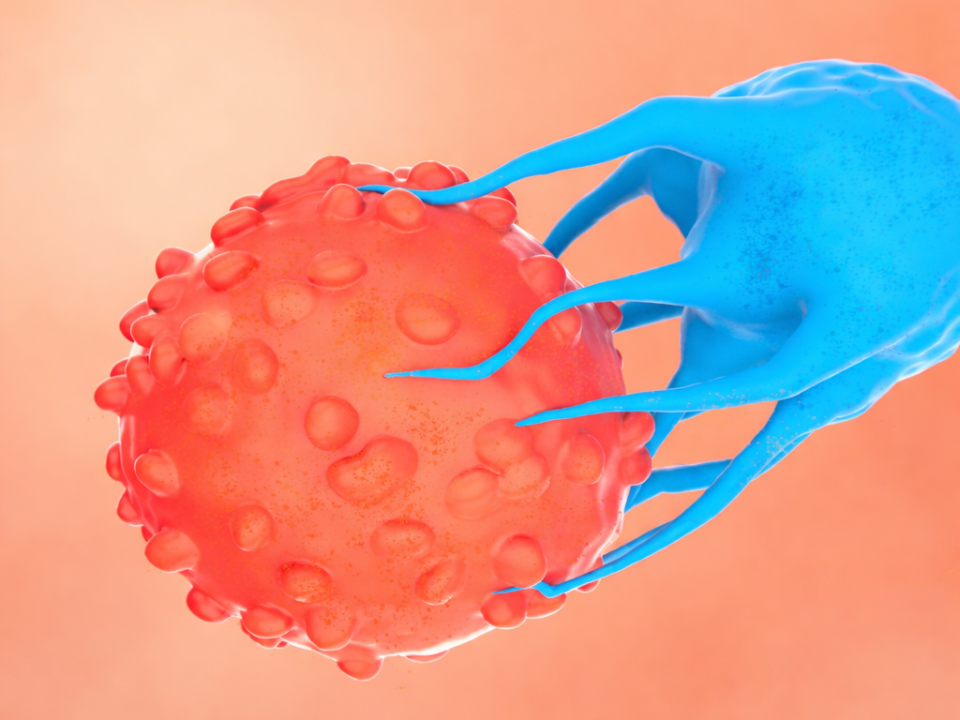 Ilustração 3D de célula CAR-T azul interagindo com célula cancerígena vermelha, representando imunoterapia e tratamento onco-hematológico.