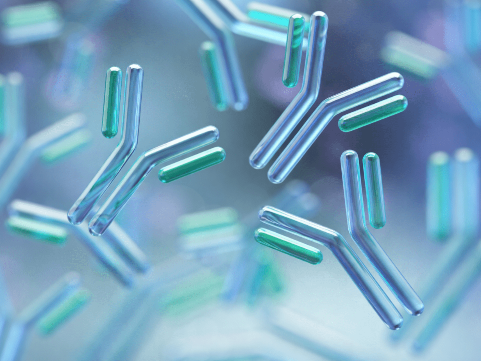 Ilustração científica de anticorpos representando teste multiplex de anticorpos para avaliação da imunidade contra hepatite B.