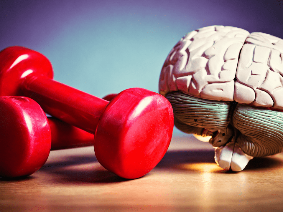 Imagem conceitual que representa a relação entre exercício físico e saúde do cérebro, associando atividade corporal à proteção da função cerebral ao longo do envelhecimento.