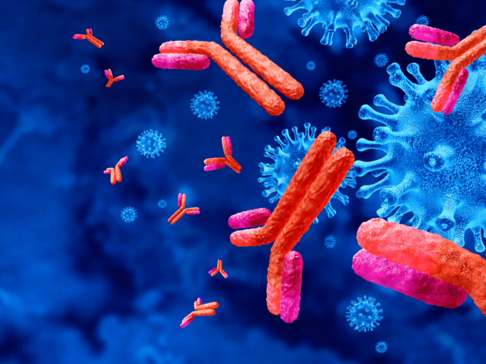 Ilustração científica de anticorpos interagindo com partículas virais em ambiente microscópico, representando a resposta imunológica humana e seus mecanismos moleculares.