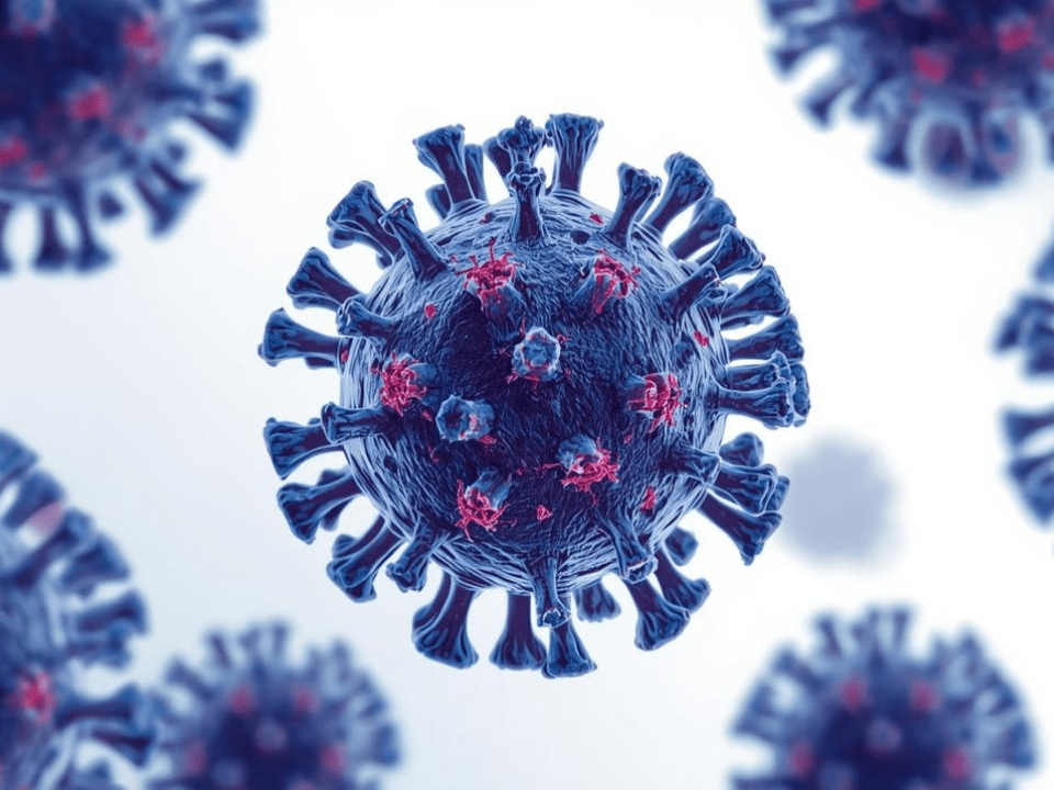 Ilustração tridimensional de um vírus com estrutura esférica e projeções em forma de espículas, representando um agente viral associado a doenças infecciosas e vigilância epidemiológica.