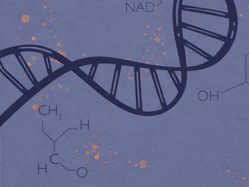 Guia Brasileiro de Manejo Nutricional dos Erros Inatos do Metabolismo, com ilustração de moléculas químicas e dupla hélice de DNA em fundo azul, representando doenças metabólicas genéticas e abordagem nutricional terapêutica.