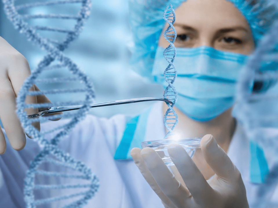 Cientista manipulando estrutura de DNA em laboratório, representando pesquisas em genética, biotecnologia e reprogramação epigenética.