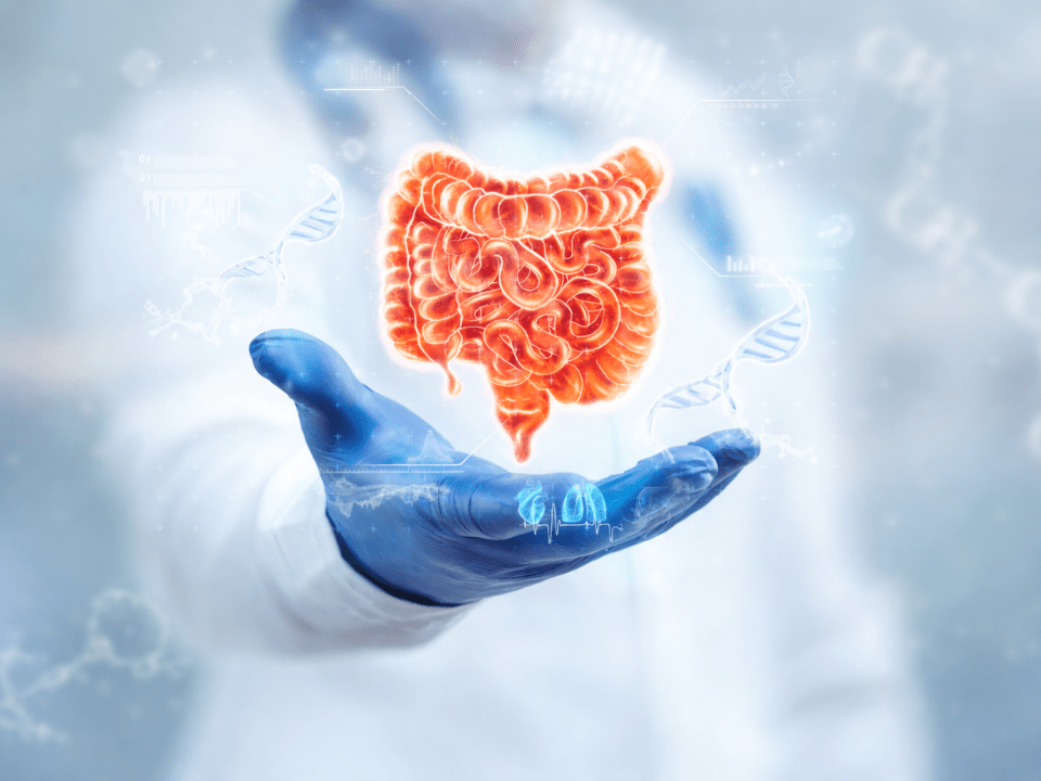 Ilustração biomédica de intestino humano destacado em vermelho sobre mão com luva, com estruturas de RNA e DNA ao redor, representando biomarcadores de RNA em vesículas extracelulares na DII para diagnóstico molecular não invasivo.