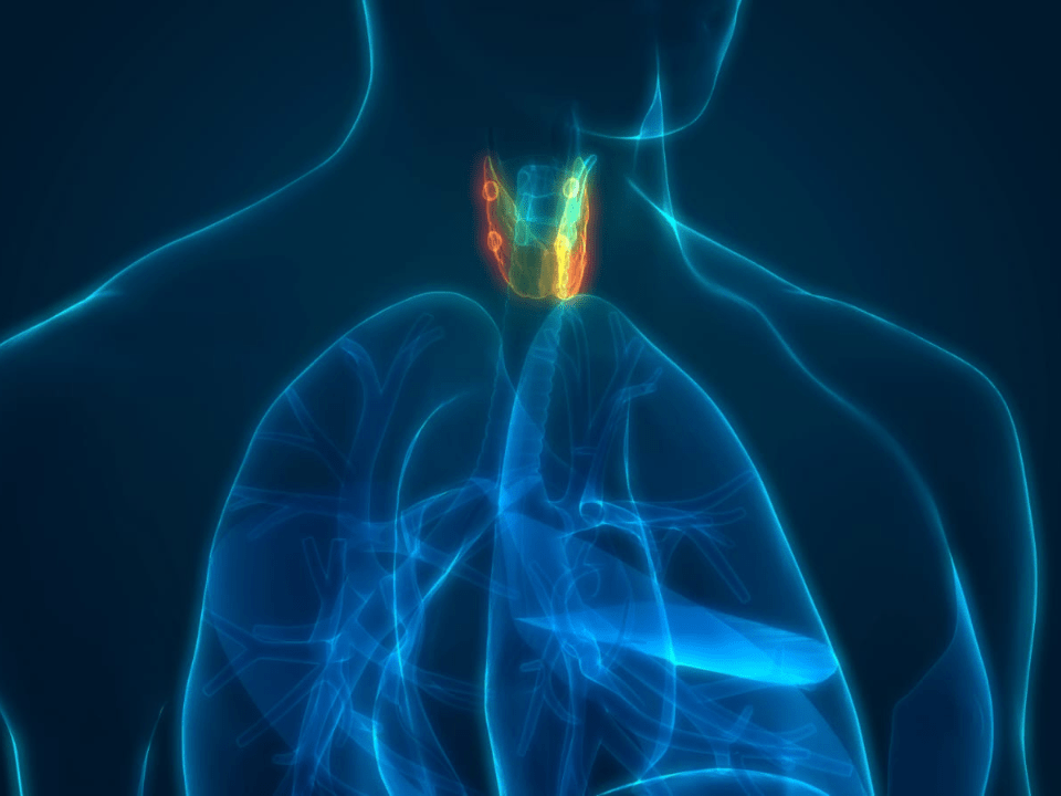 Radioterapia no câncer de esôfago ilustrada em imagem médica 3D com destaque para a região esofágica, evidenciando área tumoral e contexto anatômico torácico, representação visual do tratamento oncológico e sua aplicação clínica em diferentes estágios da doença.