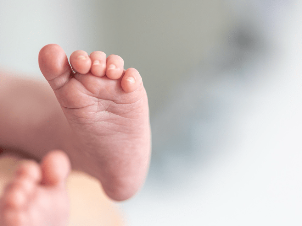 Pé de recém-nascido em destaque representando a triagem neonatal no Brasil e a importância do diagnóstico precoce no SUS.