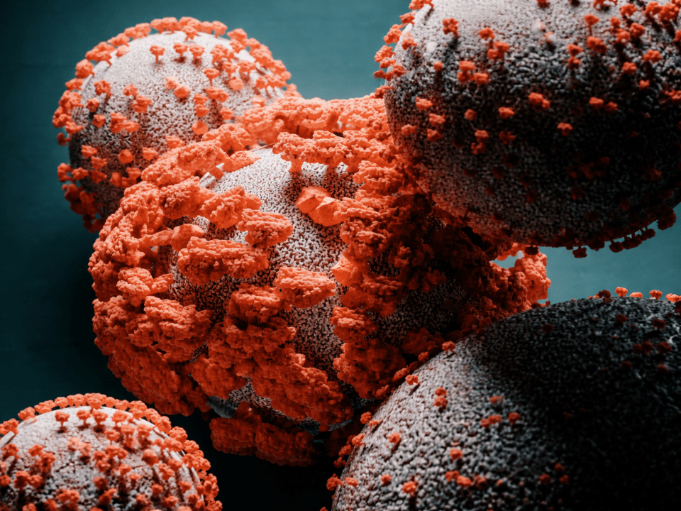 Nanodiscos em proteínas virais ilustrados em partículas virais com glicoproteínas de envelope em destaque, evidenciando epítopos e interação com anticorpos em ambiente de membrana simulada.