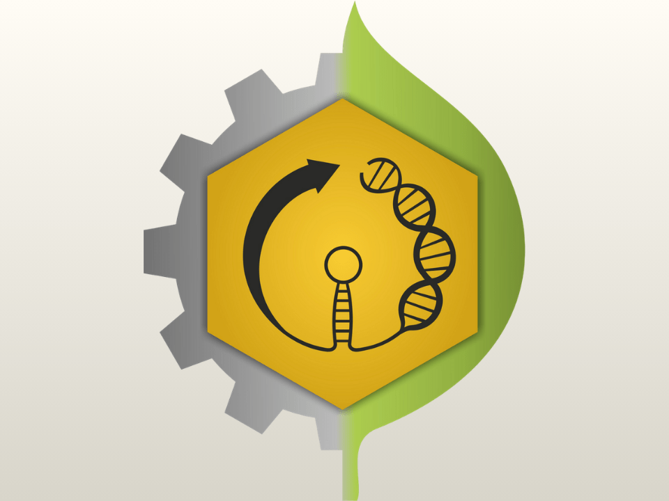 Ilustração simbólica do Dia do Bioquímico com elementos de ciência, DNA, inovação tecnológica e bioquímica aplicada à saúde e à pesquisa científica.