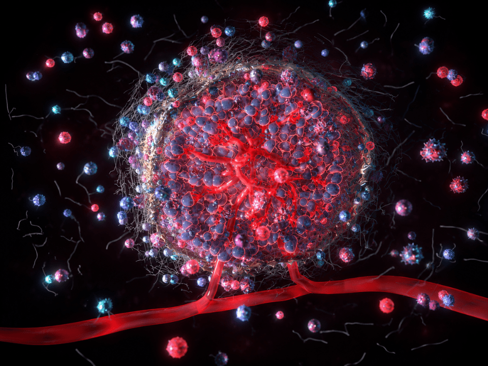 Ilustração científica do microambiente tumoral mostrando estrutura tumoral vascularizada cercada por células imunológicas e biomarcadores circulantes, representando avanços em imunoterapia, oncologia de precisão e medicina diagnóstica baseada em exame sanguíneo.
