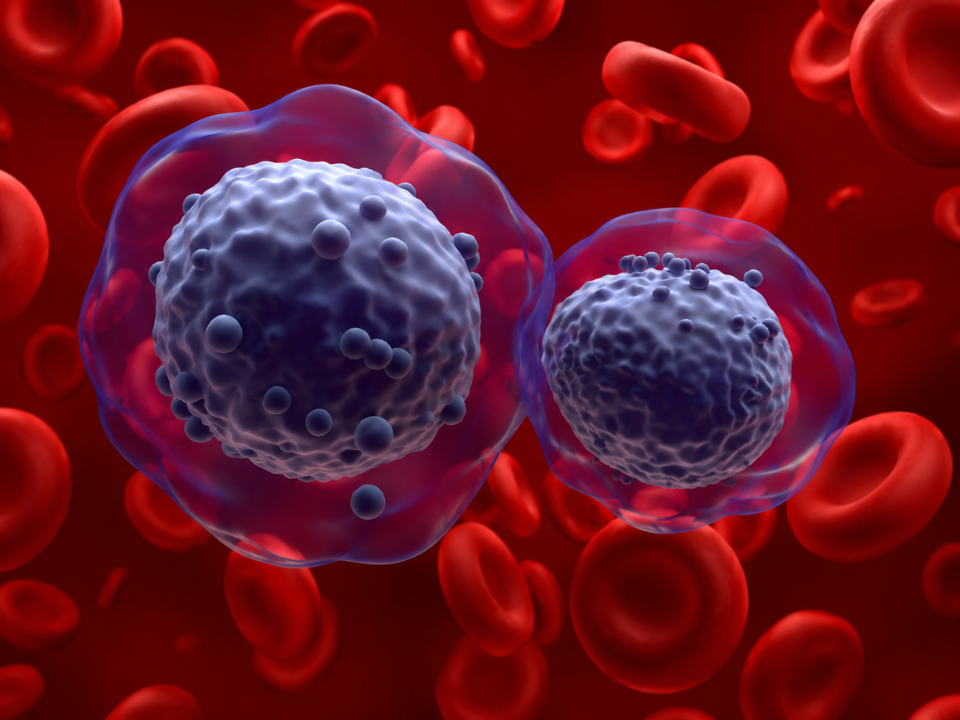 Ilustração biomédica em alta resolução mostrando células sanguíneas e leucócitos em circulação, representando o monitoramento molecular em leucemia mieloide aguda e as estratégias avançadas de detecção precoce de doença residual mensurável (MRD).