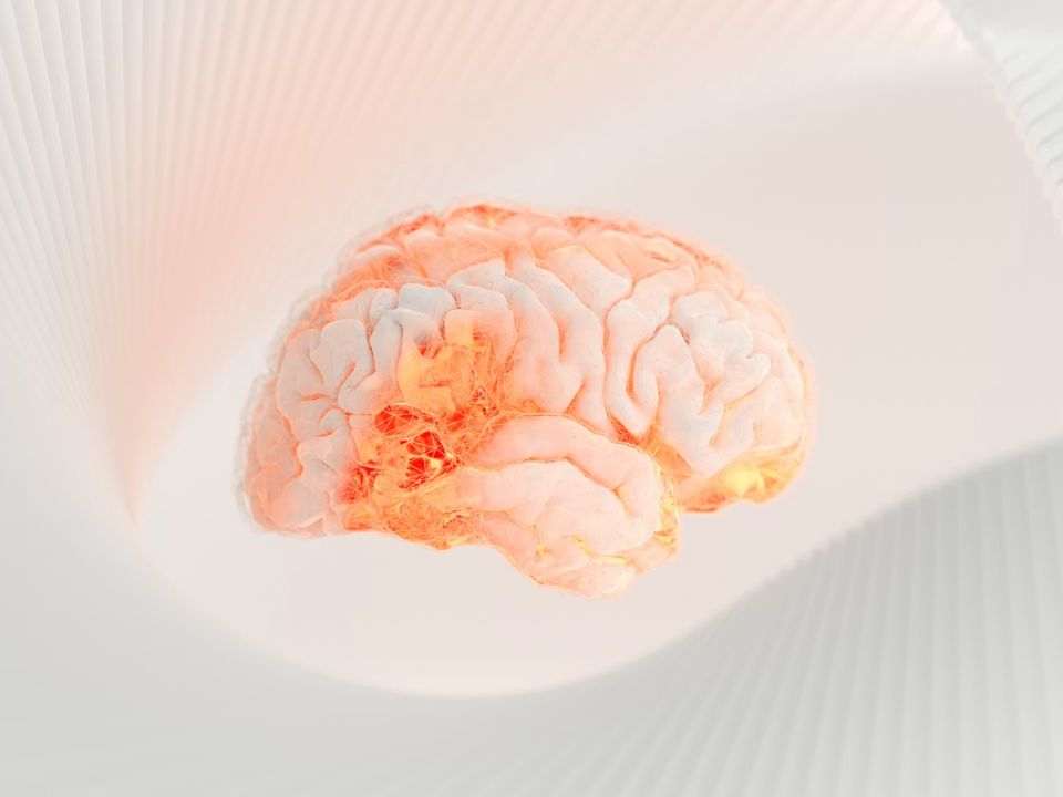 Representação tridimensional do cérebro humano com regiões neurais iluminadas, ilustrando a relação entre proteína tau e memória na formação de lembranças duradouras.