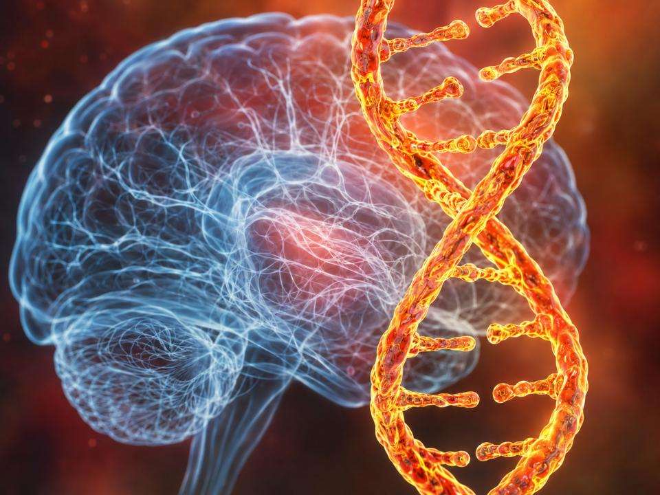 RNA circular no Alzheimer avança como biomarcador sanguíneo para prever a progressão da doença e apoiar o diagnóstico molecular precoce.