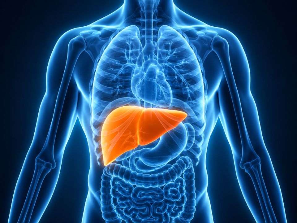 Painel de biomarcadores plasmáticos foi desenvolvido para identificar fibrose avançada e representar a progressão molecular da MASLD.