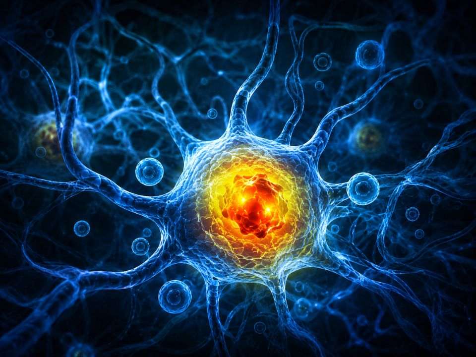 Ilustração da histologia 3D de gliomas, com rede neural azul e célula central destacando área tumoral em vermelho e amarelo.