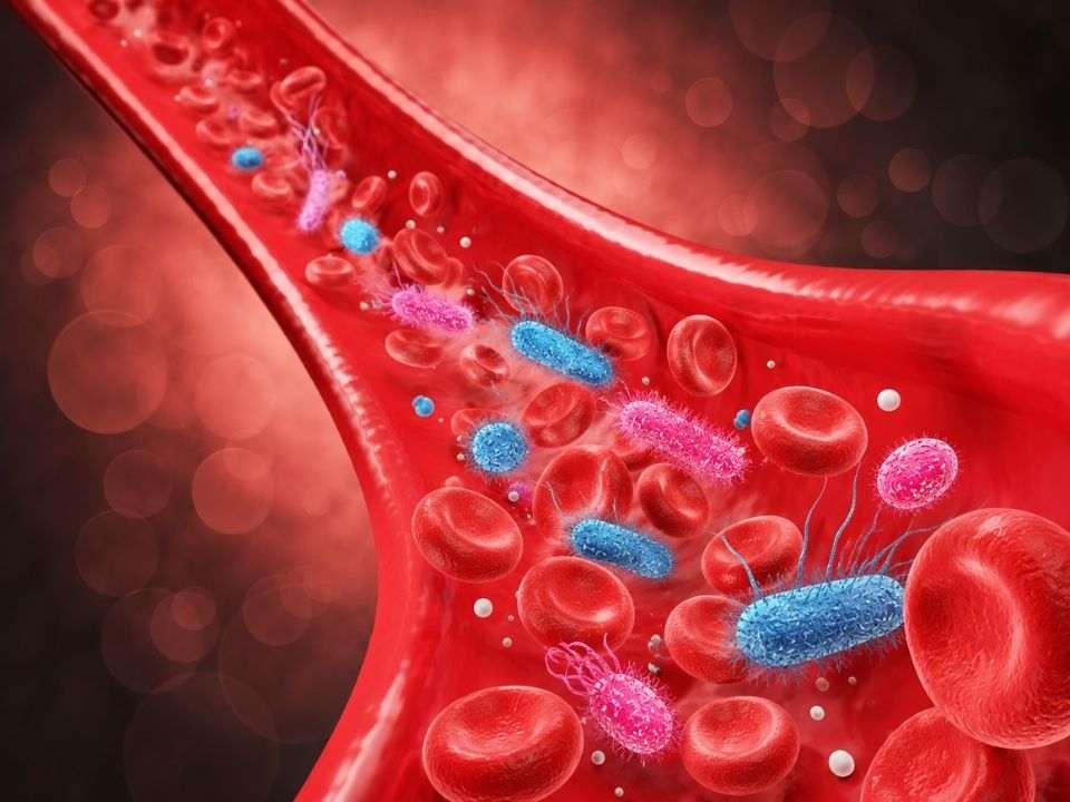 Plataforma STREAM para diagnóstico rápido de infecção da corrente sanguínea e avaliação da resposta a antibióticos.