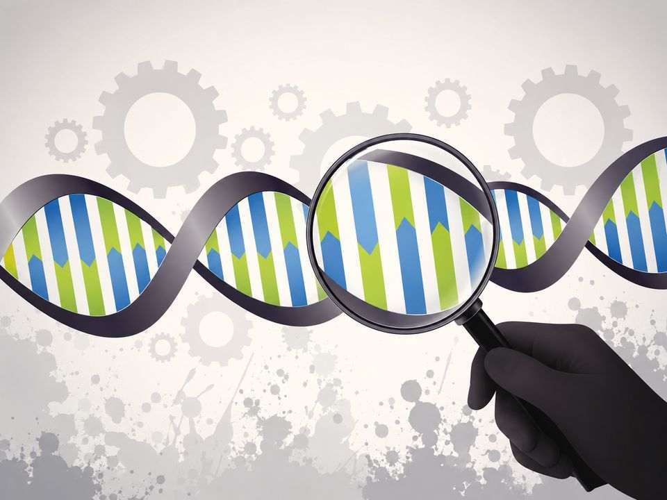 Teste CRISPR identifica sequência de DNA para detecção molecular de vírus e variantes genéticas.