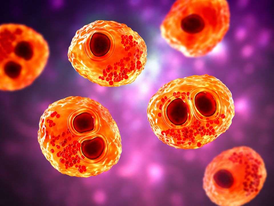 Triagem de citomegalovírus congênito por teste molecular em amostra de recém-nascido.