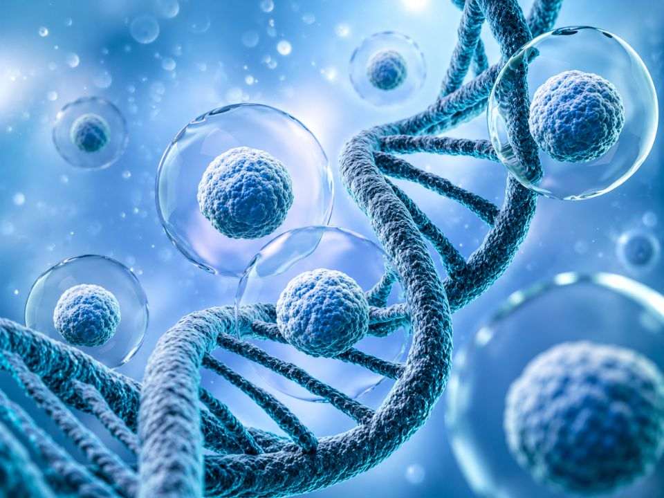 A análise germinativa pode identificar predisposição ao câncer e orientar a avaliação de familiares.