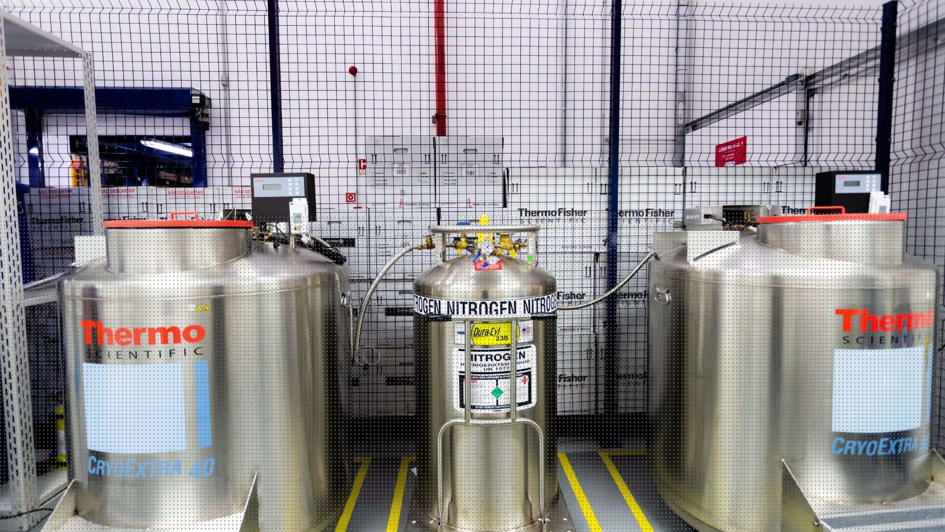 Criogenia para ensaios clínicos com tanques e infraestrutura de nitrogênio na Thermo Fisher Scientific.