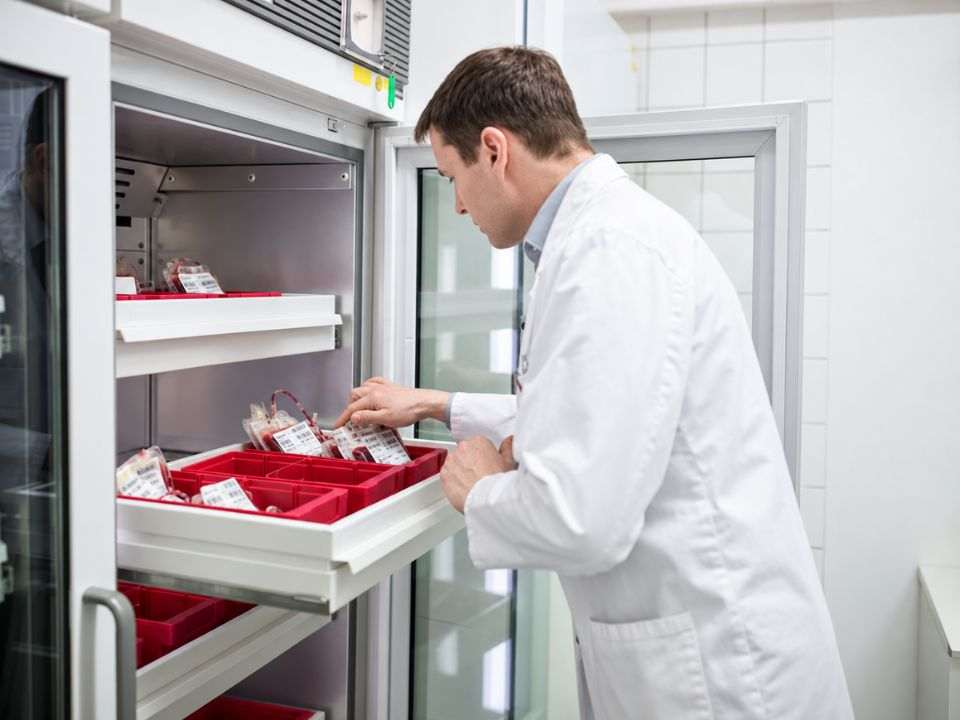 Tempo e temperatura nos exames laboratoriais são variáveis que exigem atenção antes da análise.